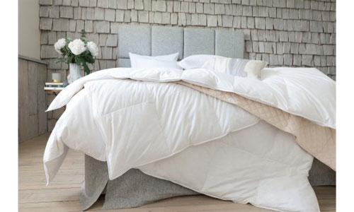 Bedding & Pillows